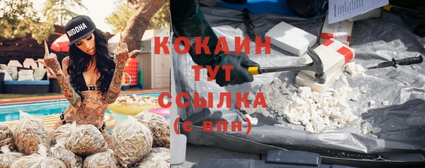 бутират Каменка