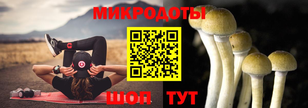 Курганинск  Галлюциногенные грибы Psilocybe  Вход с VPN  Псилоцибиновые грибы Magic Shrooms 