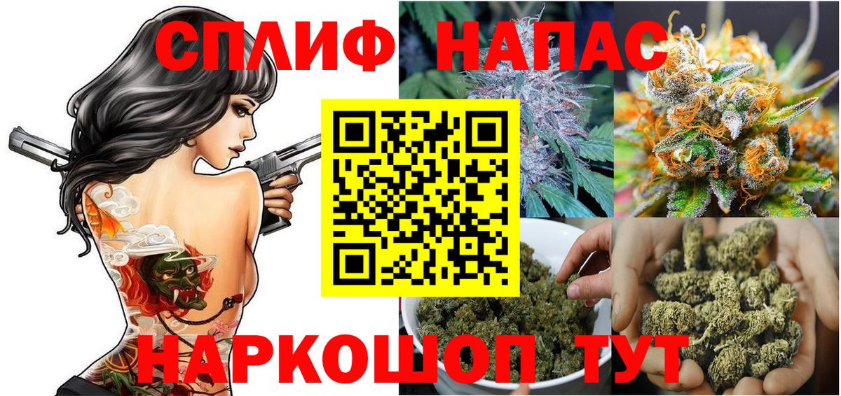 МАРИХУАНА ГИДРОПОН  МАРИХУАНА THC 21%  Канабис планчик  Вход с VPN  Курганинск  Бошки марихуана AK-47 